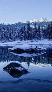 Ośnieżone drzewa nad szwajcarskim jeziorem Caumasee