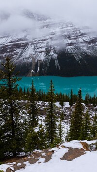 Ośnieżone góry i jezioro Peyto Lake