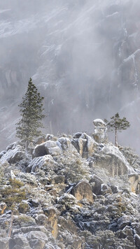 Ośnieżone skały i drzewa w Parku Narodowym Yosemite