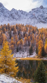 Ośnieżony las nad jeziorem Soubeyran we Francji