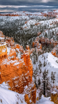 Ośnieżony Park Narodowy Bryce Canyon