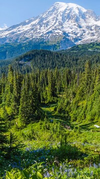 Ośnieżony stratowulkan Mount Rainier