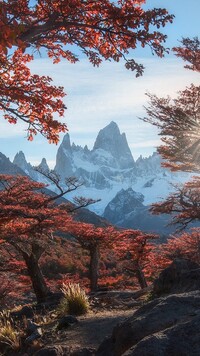 Ośnieżony szczyt Fitz Roy