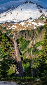 Ośnieżony szczyt Mount Baker