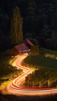 Oświetlona droga w kształcie serca na winnicy we wsi Spicnik