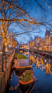 Oświetlone drzewa nad kanałem w Amsterdamie