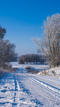 Oszronione drzewa po obu stronach zaśnieżonej drogi