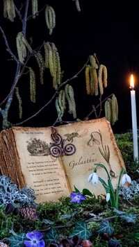 Otwarta książka i świeca wśród wiosennych kwiatów
