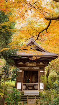 Pagoda wśród jesiennych drzew
