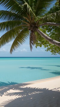 Palma nad morską plażą na Malediwach