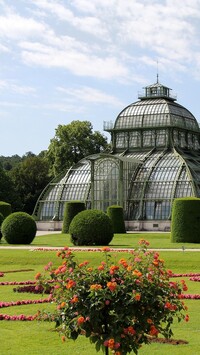 Palmiarnia w Pałacu Schonbrunn w Wiedniu