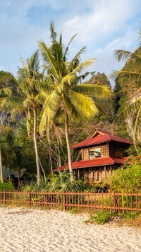 Palmy i dom na plaży