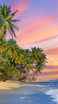 Palmy na morskiej plaży