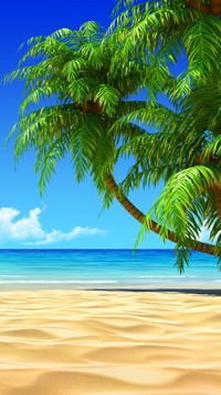 Palmy  nad  morską plażą
