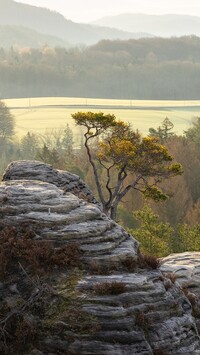 Panorama Parku Narodowego Saskiej Szwajcarii