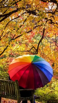 Para na ławce pod kolorową parasolką