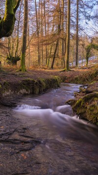 Park Narodowy Gorbea w Hiszpanii