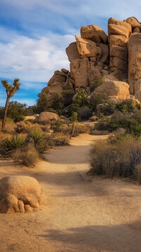 Park Narodowy Joshua Tree