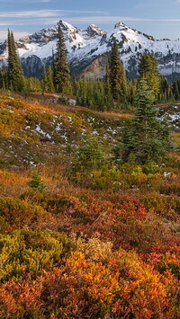 Park Narodowy Mount Rainier i góry w tle