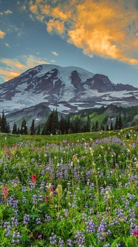 Park Narodowy Mount Rainier