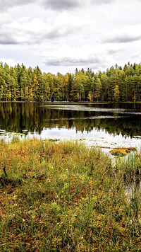 Park Narodowy Sipoonkorpi w Finlandii