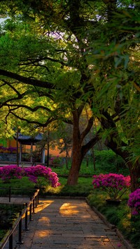 Park w chińskiej prowincji Jiangsu