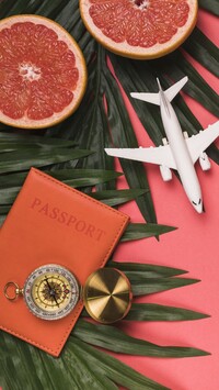 Paszport i miniaturka samolotu na liściach