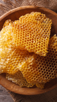 Plastry pszczele w misce