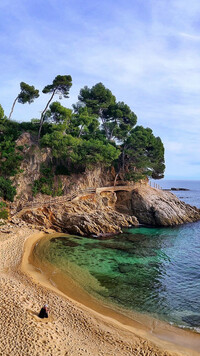 Plaża i drzewa na skałach na wybrzeżu Katalonii