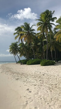 Plaża na Dominikanie