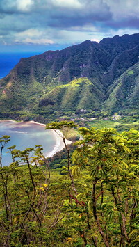 Plaża w dolinie Kahana Valley na Hawajach