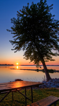 Pochylone drzewo nad jeziorem o zachodzie słońca