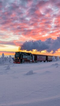 Pociąg parowy jadący obok zaśnieżonych drzew