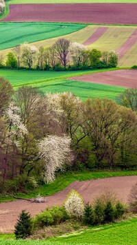 Pola uprawne wiosną