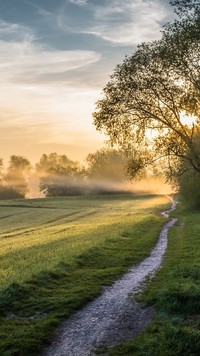 Polna droga o wschodzie słońca