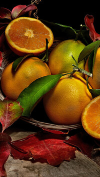 Pomarańcze i kolorowe liście