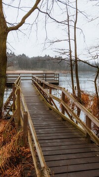 Pomost nad jeziorem jesienną porą