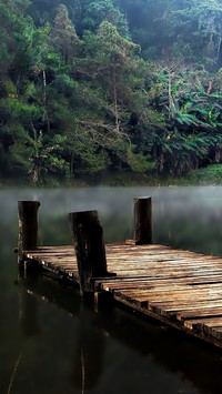 Pomost nad jeziorem w dżungli