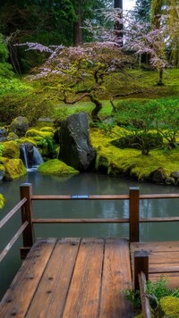 Pomost nad sadzawką w ogrodzie japońskim