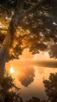 Poranek nad rzeką