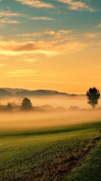 Poranna mgła nad polami