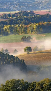 Poranna mgła nad polami i drzewami