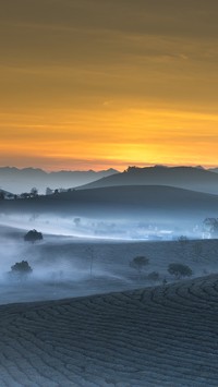 Poranna mgła nad polami