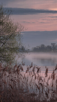 Poranna mgła nad rzeką Dubna