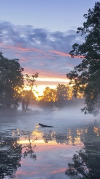 Poranna mgła nad rzeką