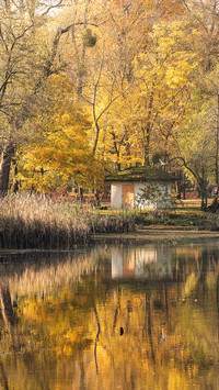 Poznański park jesienią