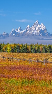 Pożółkła trawa i drzewa na tle gór Teton Range we mgle