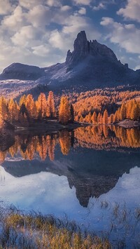 Pożółkłe drzewa nad jeziorem Lago Federa i góry w oddali