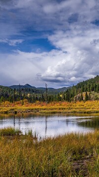 Pożółkłe trawy nad jeziorem w Parku Narodowym Jasper