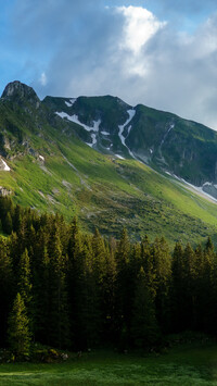 Przełęcz Gurnigel w Alpach
